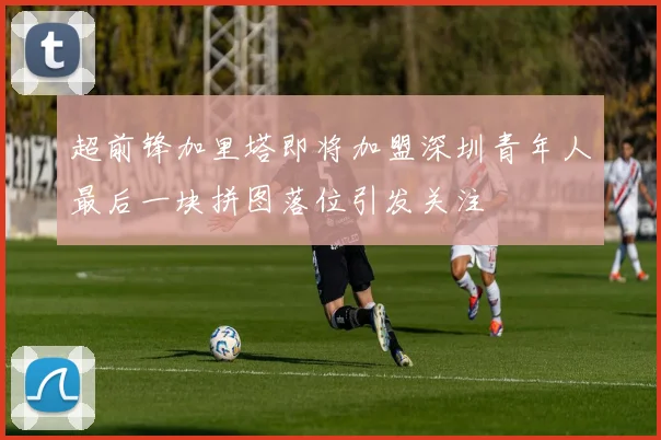 超前锋加里塔即将加盟深圳青年人最后一块拼图落位引发关注
